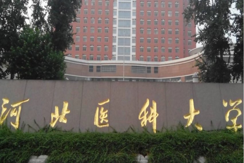 三本大学排名榜 全国最好的三本学校