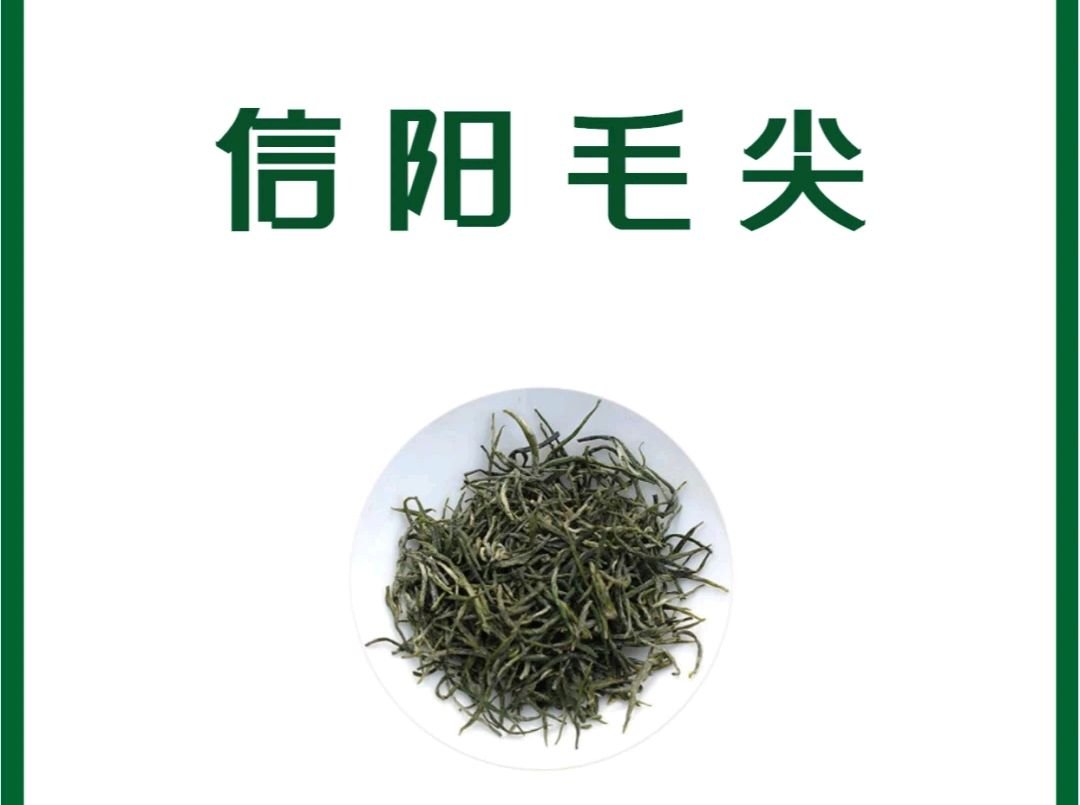 购买绿茶时怎么挑选？不同的绿茶都有哪些挑选技巧？