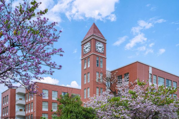 上海专升本的院校有哪些