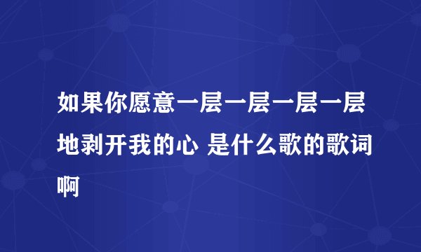 如果你愿意一层一层一层一层地剥开我的心 是什么歌的歌词啊