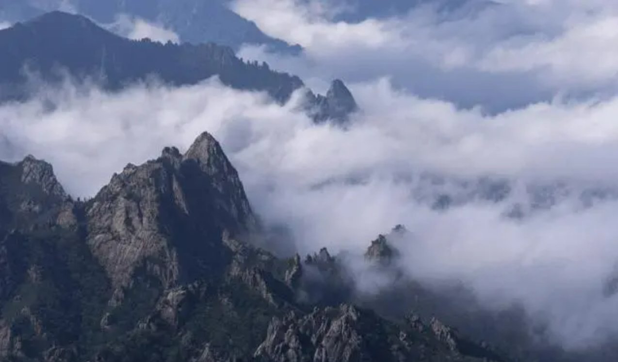 恍然如梦是什么意思