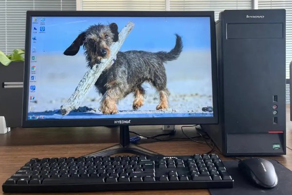 视频为什么看不了