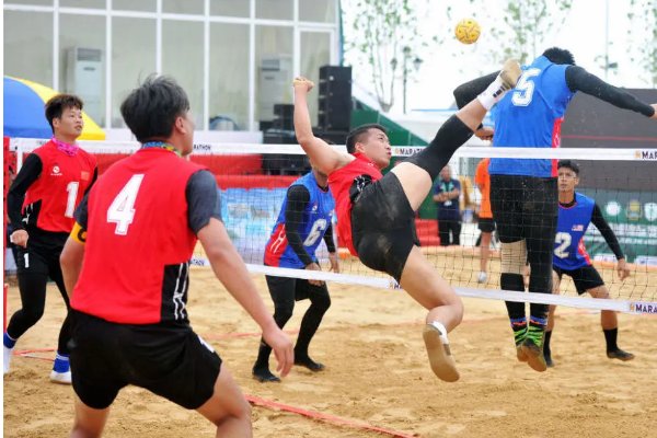 藤球是什么材料做的?