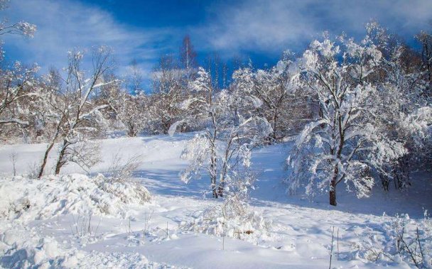 歌词：“2002年的第一场雪”指什么时间？