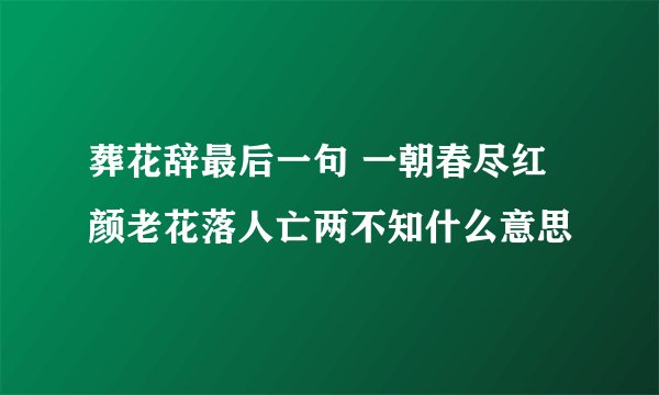 葬花辞最后一句 一朝春尽红颜老花落人亡两不知什么意思