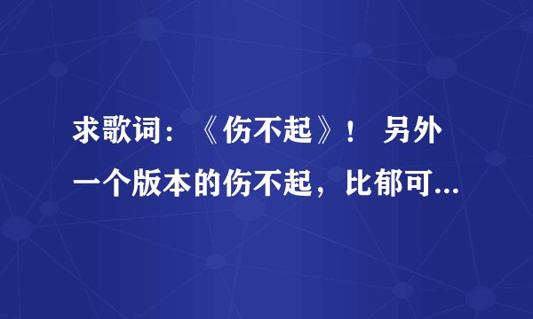 求歌词：《伤不起》！ 另外一个版本的伤不起，比郁可唯唱的好听，是王麟唱的，谁有歌词吗？