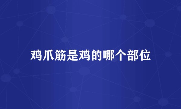 鸡爪筋是鸡的哪个部位