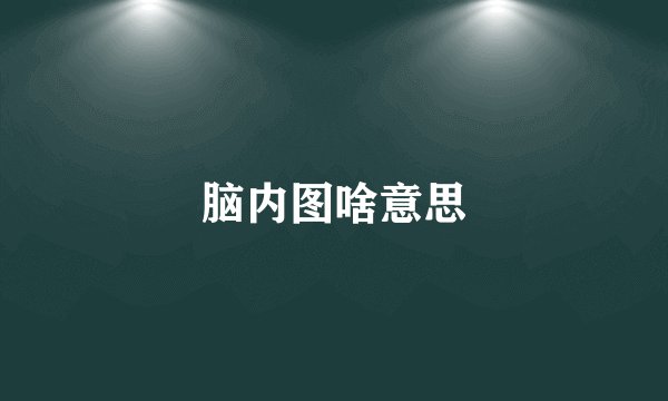 脑内图啥意思