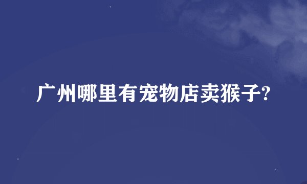 广州哪里有宠物店卖猴子?