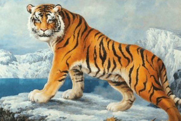 蚊子负山打一生肖