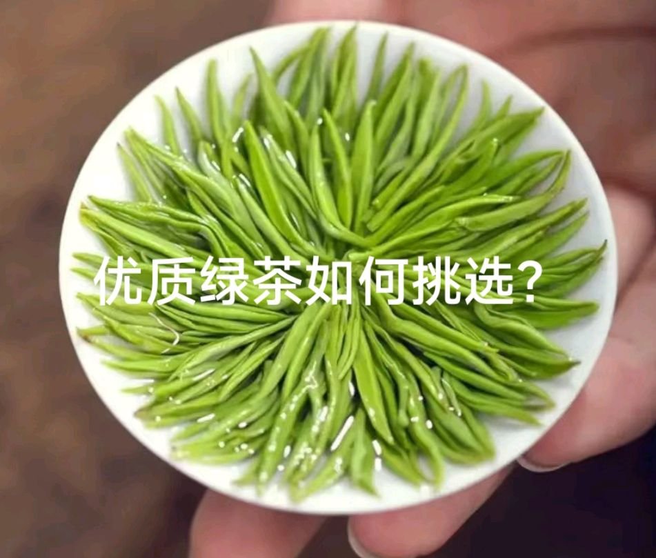购买绿茶时怎么挑选？不同的绿茶都有哪些挑选技巧？