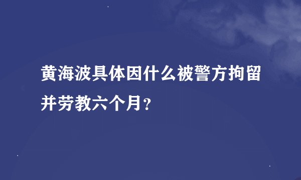 黄海波具体因什么被警方拘留并劳教六个月？