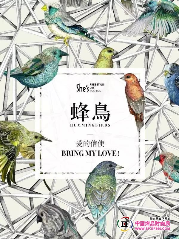 彩色羽翼的介绍