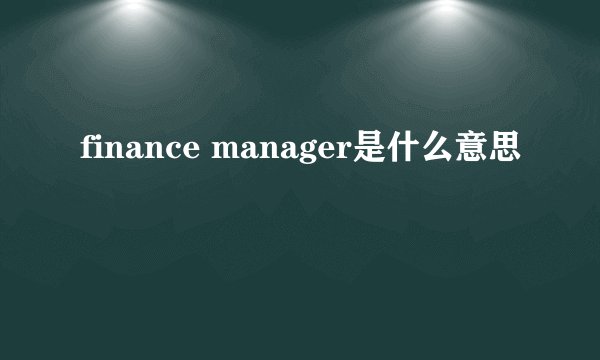 finance manager是什么意思