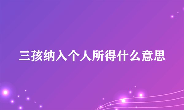 三孩纳入个人所得什么意思