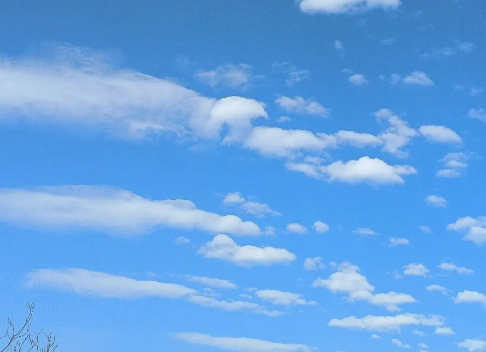 浅喜似苍狗深爱如长风什么意思