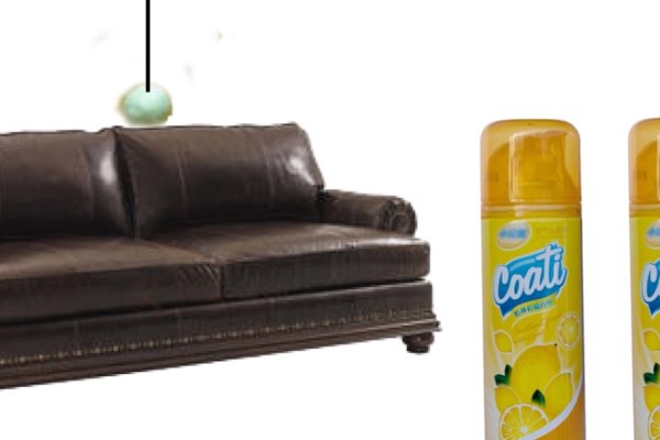 如何去除沙发上的狗尿味