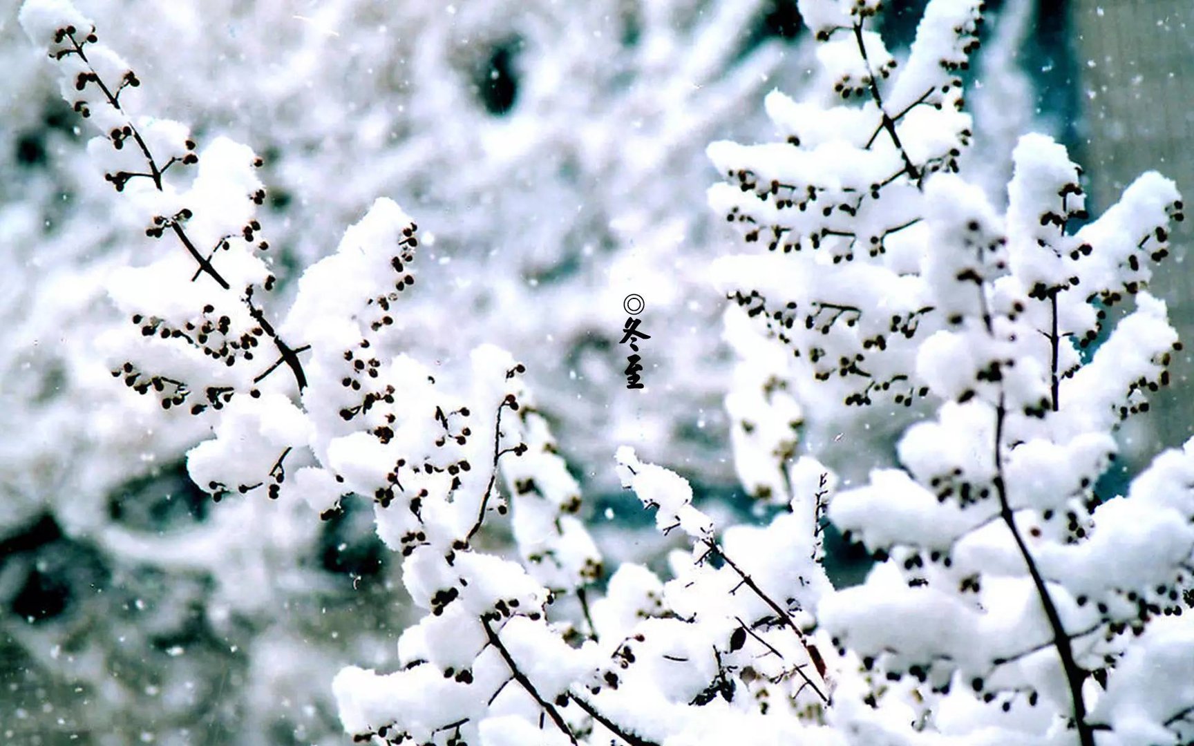 冬至日出时间是多少日落时间是多少冬至日照时间是几小时几分