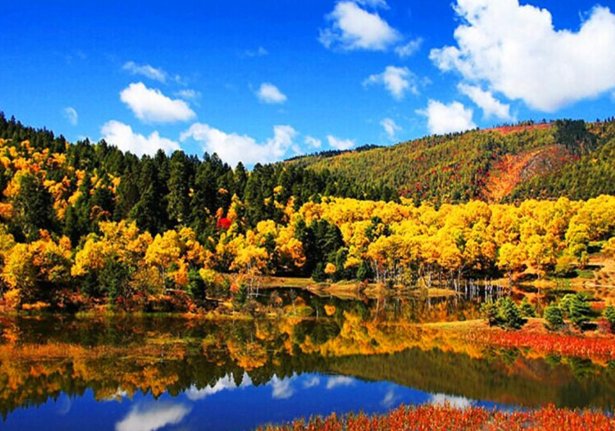 中国达那是哪个城市