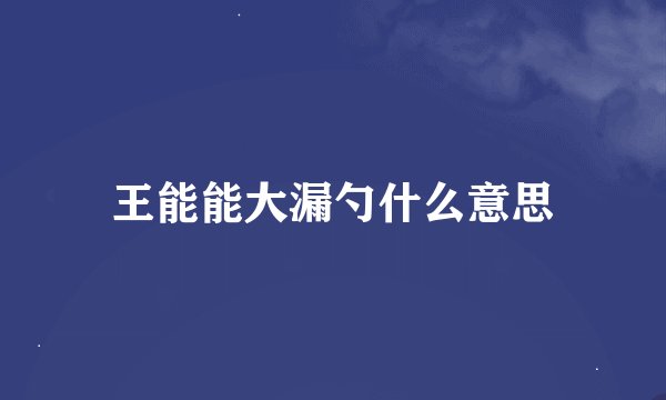 王能能大漏勺什么意思