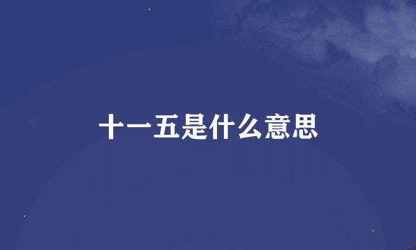 十一五是什么意思