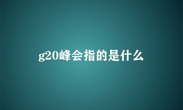 g20峰会指的是什么