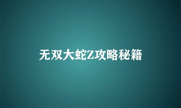 无双大蛇Z攻略秘籍