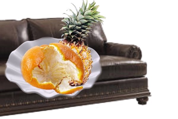 如何去除沙发上的狗尿味