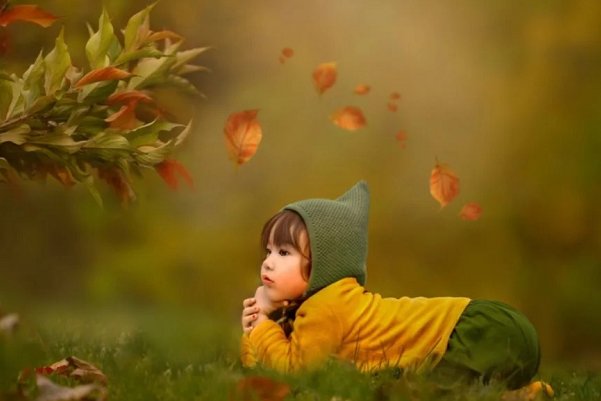 目光所及皆是你下一句