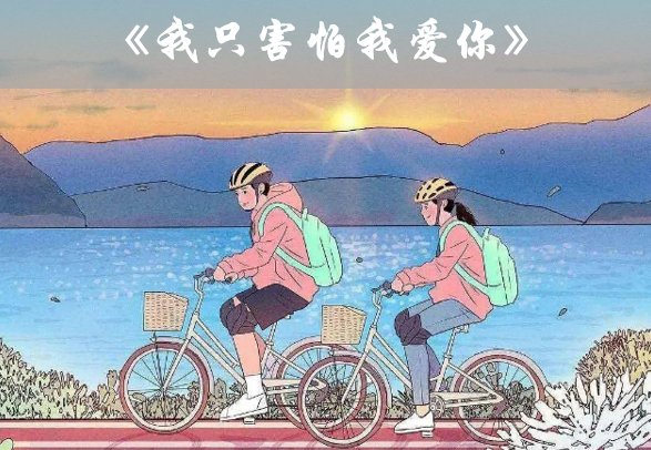 我只害怕我爱你书评