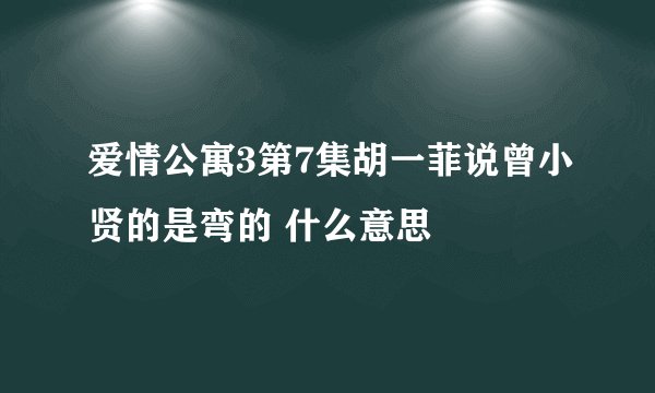 爱情公寓3第7集胡一菲说曾小贤的是弯的 什么意思