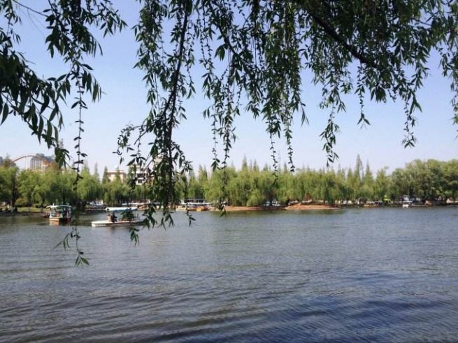 春日偶成这首诗是什么意思