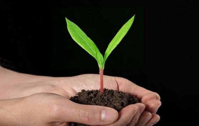 比生命更重要的是什么？