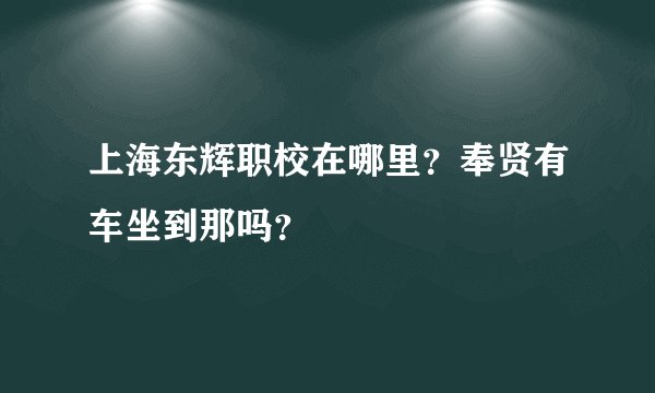 上海东辉职校在哪里？奉贤有车坐到那吗？