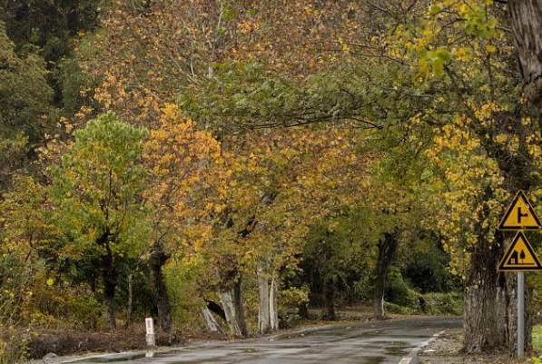 雨停后乡间的小路上什么样