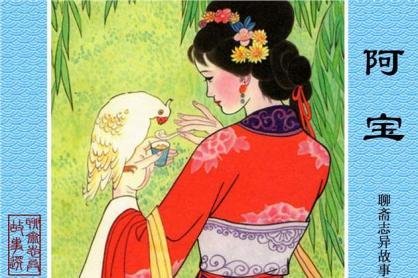 聊斋志异 阿宝 翻译梗概