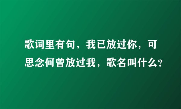 歌词里有句，我已放过你，可思念何曾放过我，歌名叫什么？