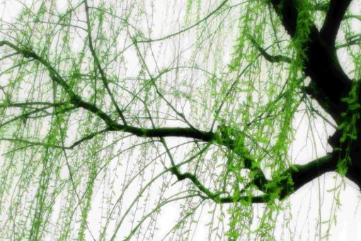 春风一吹,他们补充句子