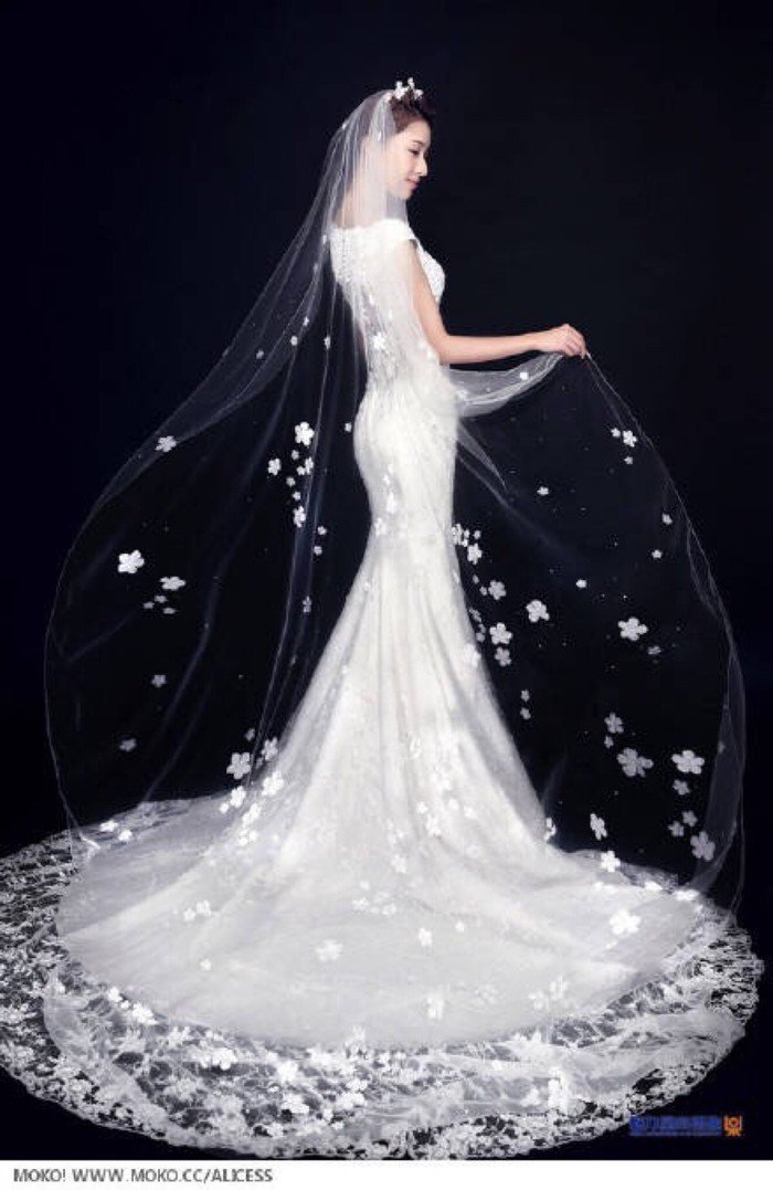 黑色新娘的人物背景