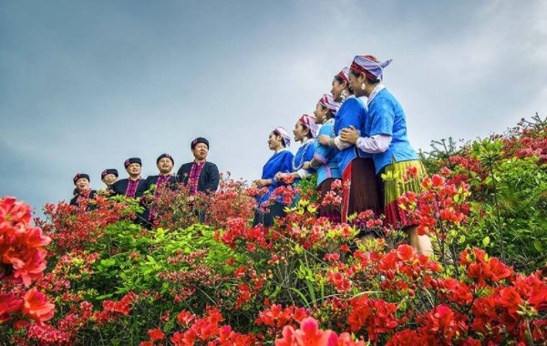 温州一家人里的禾禾唱的什么山歌