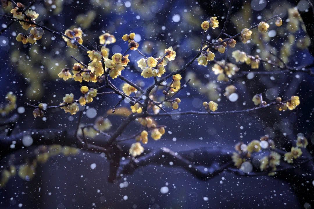 一岁二十四个节气，每年的起点是冬至还是夏至？