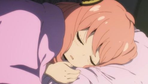 《间谍过家家》第7集喜提热搜,这一集有哪些看点?