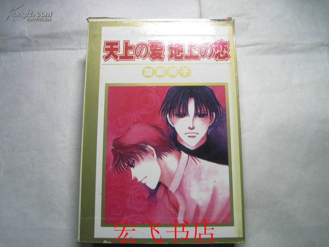 天上之爱地上之恋的剧情简介