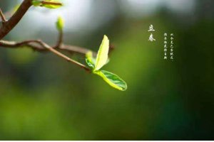 立春时间是几时几分