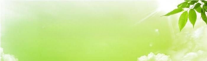 午马事件辟谣（午马事件）