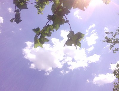 2020年三伏天有40天？三伏天的日期是怎么确定的？