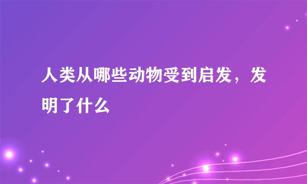 人类从哪些动物受到启发，发明了什么