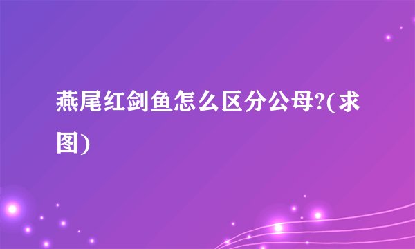 燕尾红剑鱼怎么区分公母?(求图)