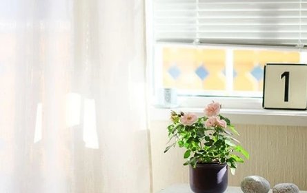 退休了，却成儿子家带工资的保姆，心里不愿意，又担心儿子不开心，咋办呢？