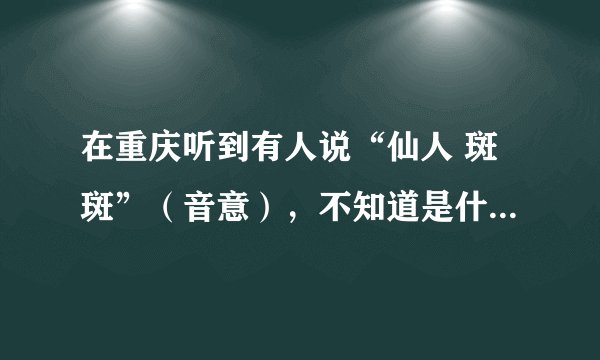 在重庆听到有人说“仙人 斑斑”（音意），不知道是什么意思？